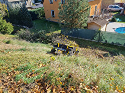 kacení dřevin Štěpánov